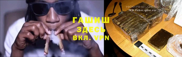 прущие грибы Елабуга