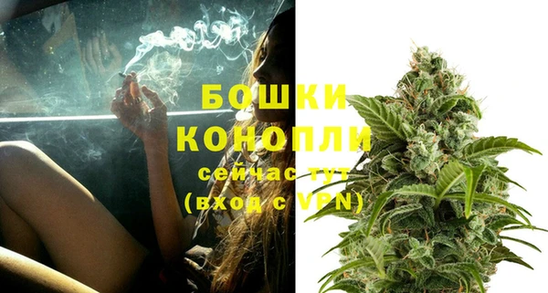 молекула духа Новодвинск