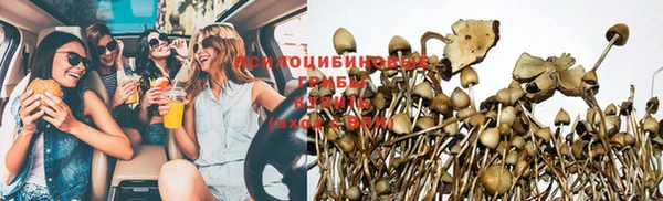 молекула духа Новодвинск