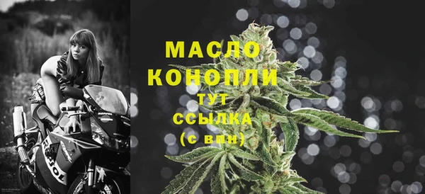 молекула духа Новодвинск