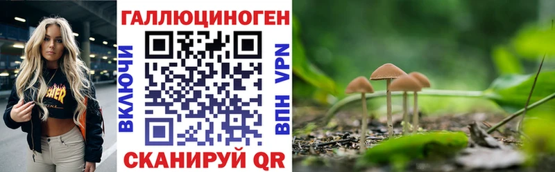 kraken ССЫЛКА  Нариманов  Псилоцибиновые грибы мицелий 
